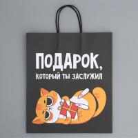 Пакет подарочный крафтовый «Киса», 28 × 32 × 15 см 9304740