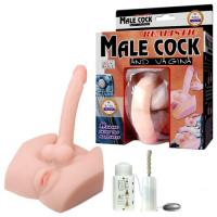 Вагина и фаллос с вибрацией и ротацией Male Cock and Vagina Baile