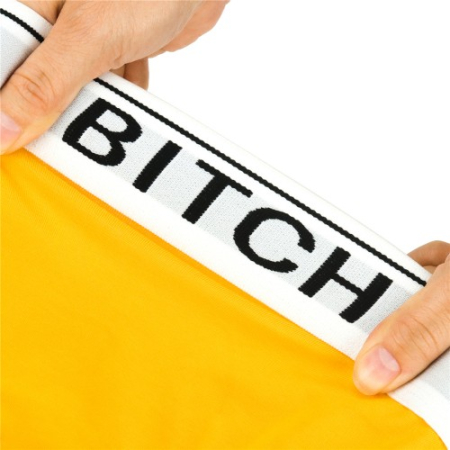 Трусики Bitch XL с вибропулей и беспроводным пультом управления Ingen Vibrating Panties