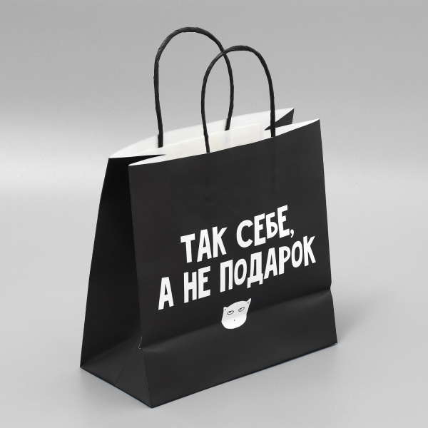 Пакет подарочный «Так себе Подарок», 22 × 22 × 11 см 3907837