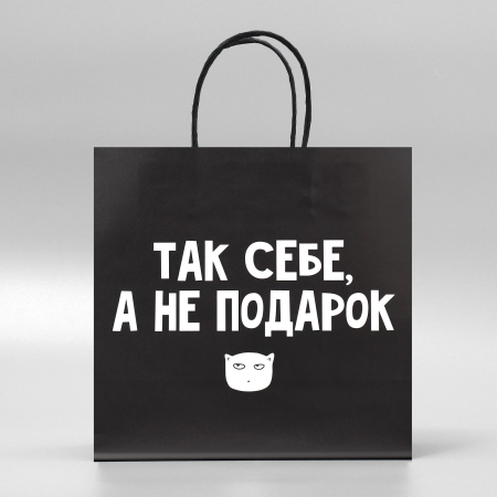 Пакет подарочный «Так себе Подарок», 22 × 22 × 11 см 3907837