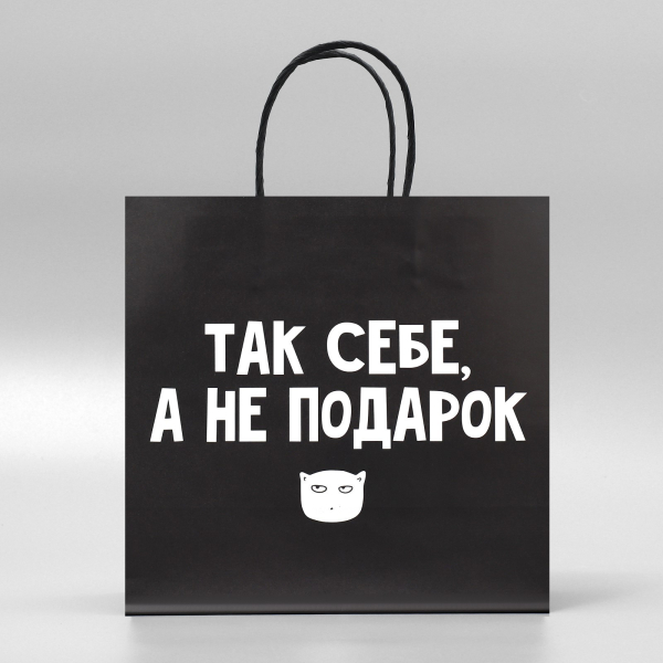 Пакет подарочный «Так себе Подарок», 22 × 22 × 11 см 3907837