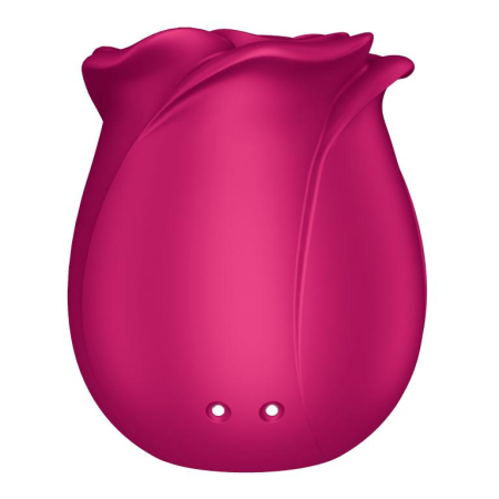 Вакуумно-волновой бесконтактный стимулятор Pro 2 Classic Blossom Satisfyer 