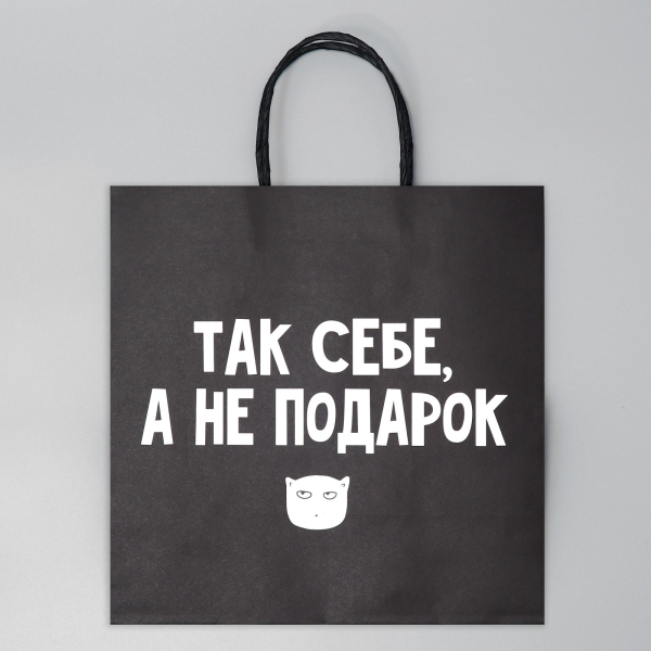 Пакет подарочный «Так себе Подарок», 22 × 22 × 11 см 3907837